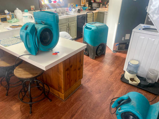Best Sewage cleanup and water damage restoration  in Harrodsburg, KY