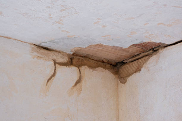 Best Water damage cleanup near me  in Harrodsburg, KY