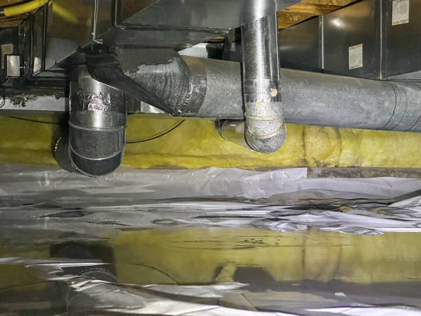 Best Flood restoration services  in Harrodsburg, KY
